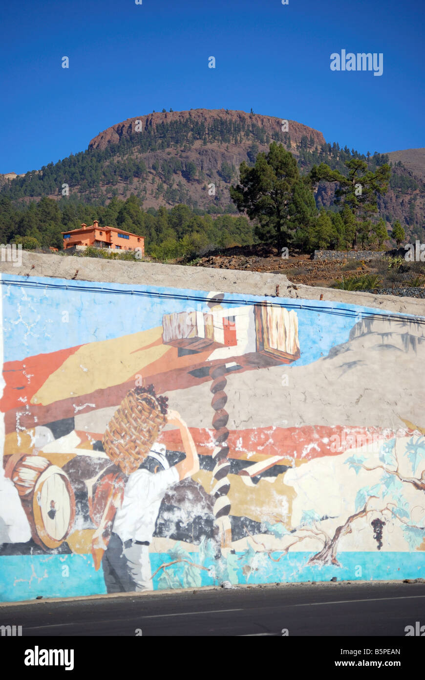 Wine production wall mural, Vilaflor, Tenerife, Canary Islands, Spain Stock Photo