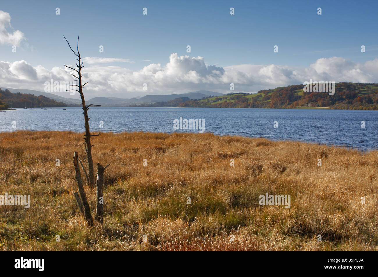 Bala Lake Stock Photo Alamy