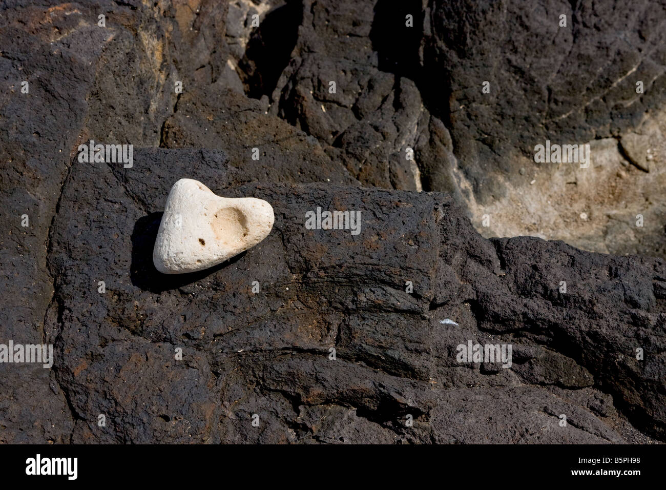 White rock found on black lava rock on Kauai Stock Photo