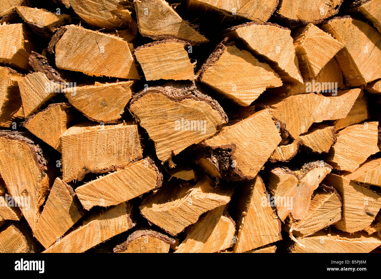 Firewood Cut and Stored for Winter at a South Cariboo Ranch, British Columbia, Canada. Stock Photo