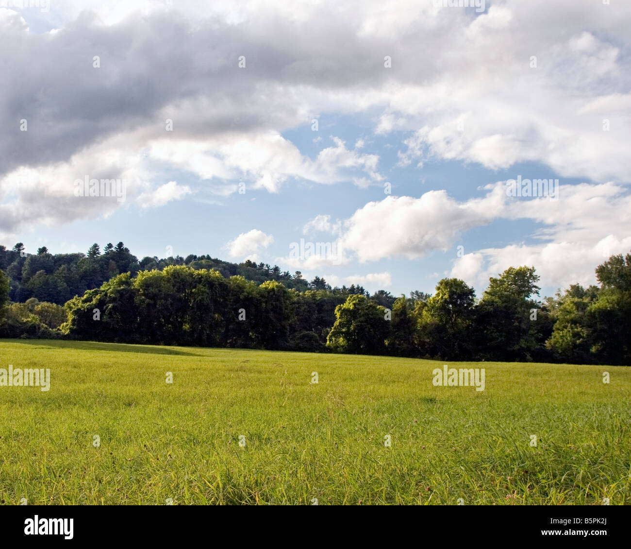 Pasture landscape pasture hi-res stock photography and images - Alamy