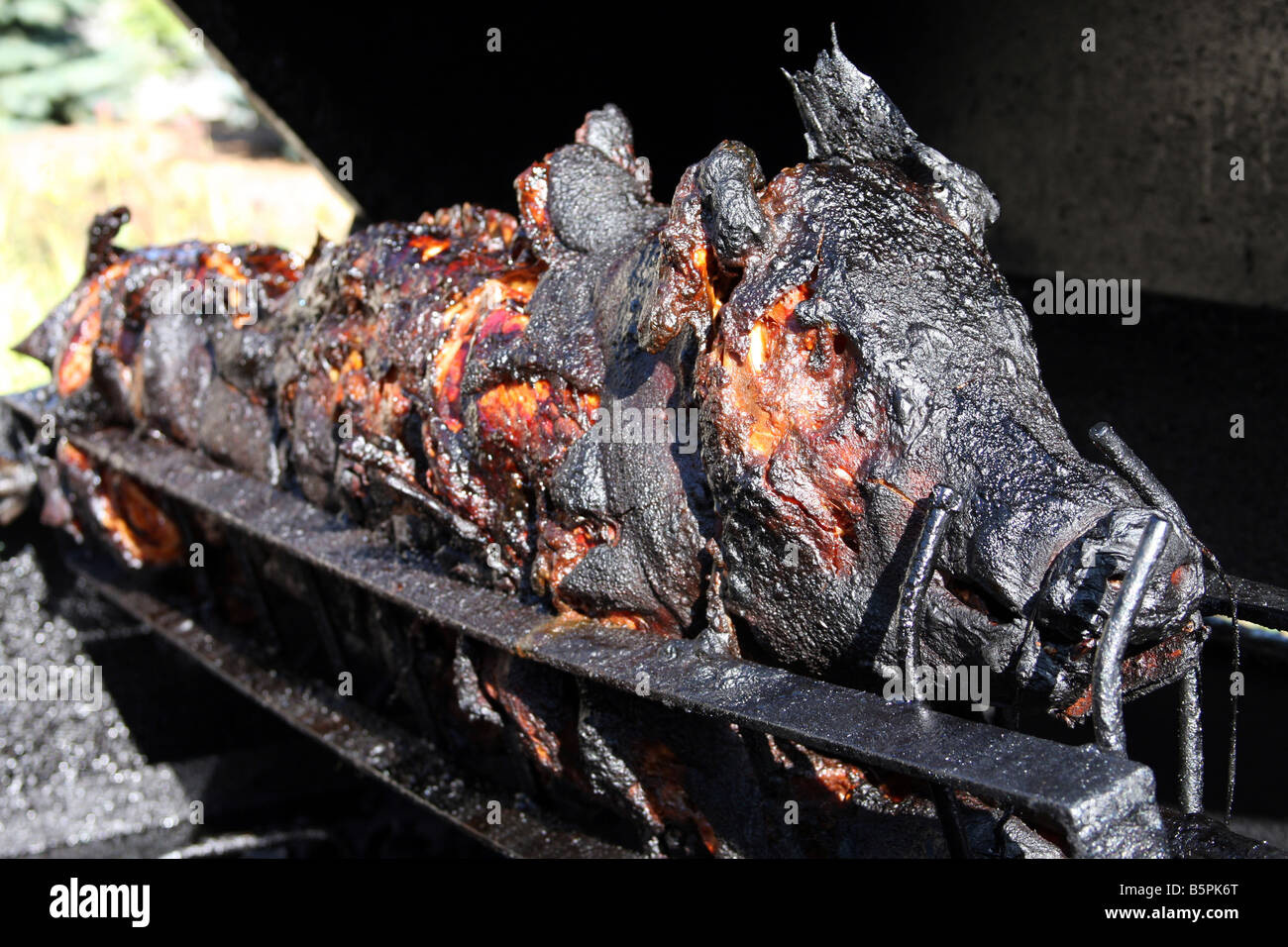 Dinner A completely cooked roasted pig on the spit still on the fire pit grill Stock Photo