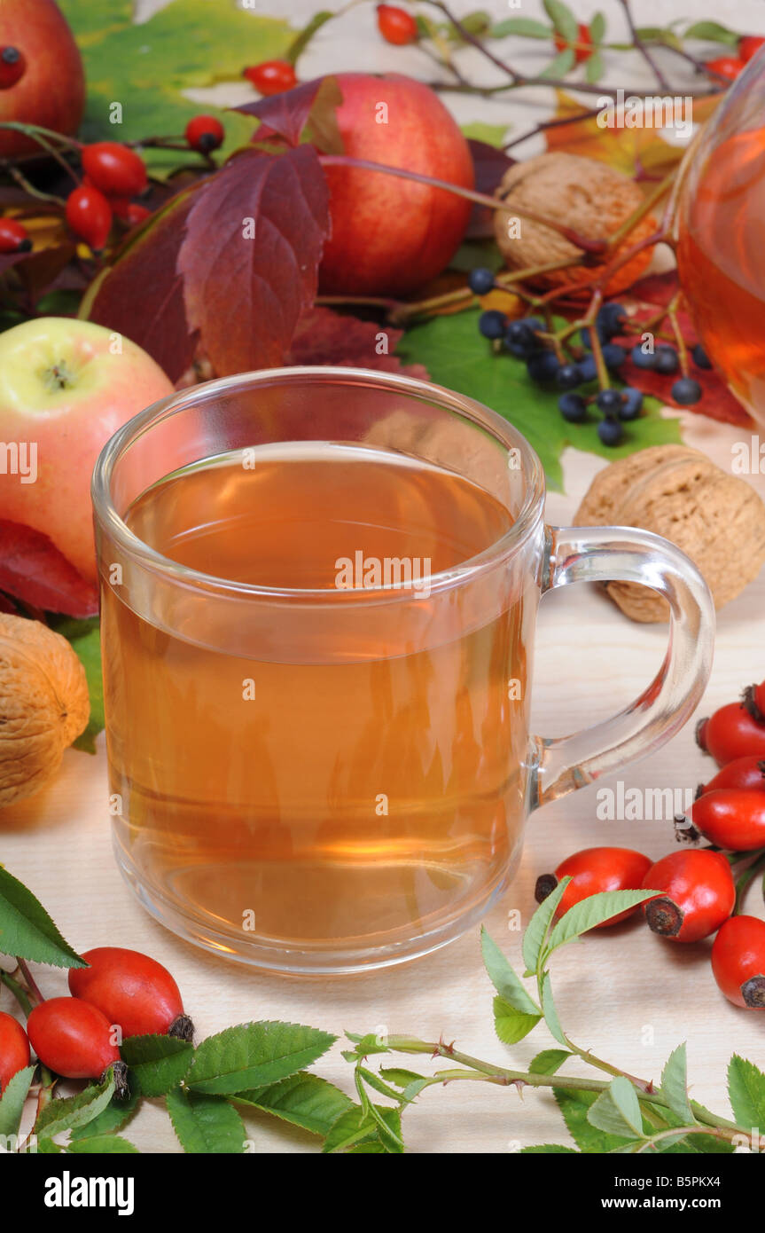 A cup of rose hip tea with fresh red briars and autumn decoration. Stock Photo