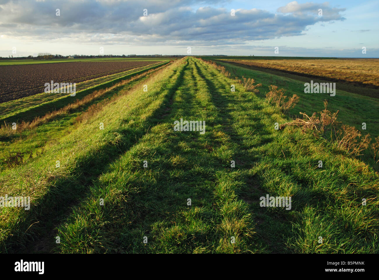 A public footpath along the sea defence wall at Gedney Drove End, Lincolnshire, England. Stock Photo