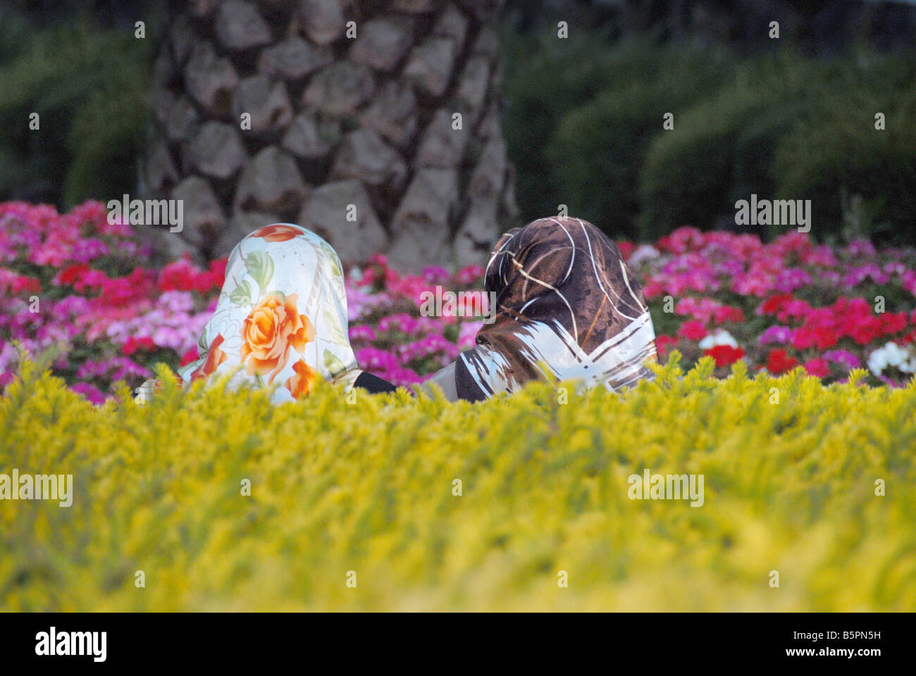 two women wearing headscarvess in a garden Stock Photo