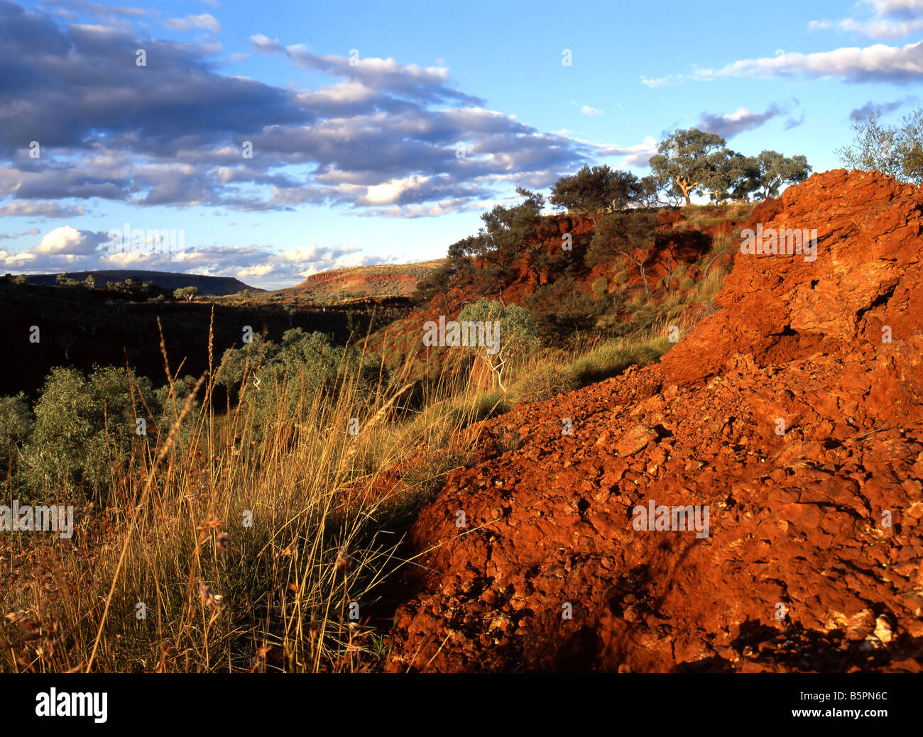 Spinifex Grass and  Red Landscape, Pilbara, Northwest Australia Stock Photo