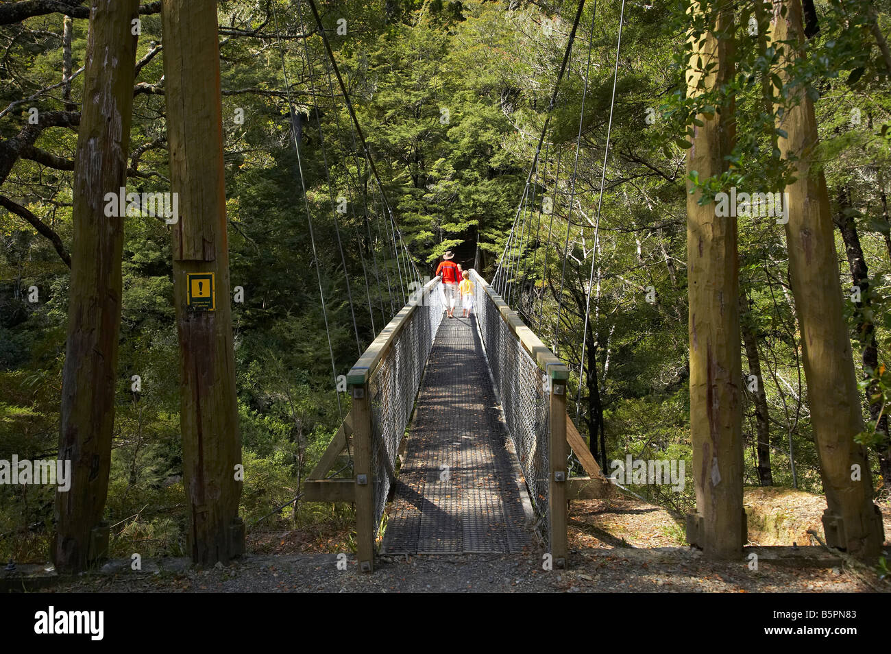 People on Suspension Bridge across Rai River at Pelorus Bridge Marlborough South Island New