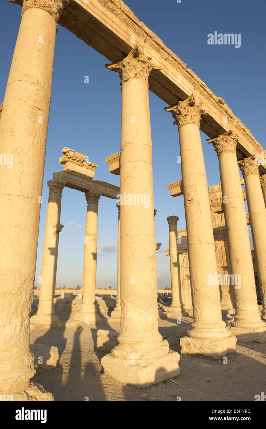 Great Colonnade, Palmyra, Syria Stock Photo
