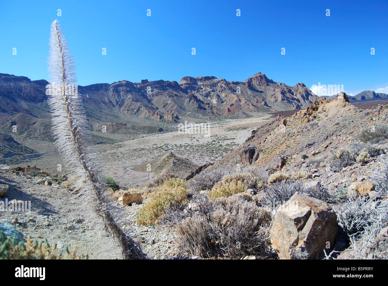 View of lava valley and Los Roques, Parque Nacional Del Teide, Tenerife, Canary Islands, Spain Stock Photo
