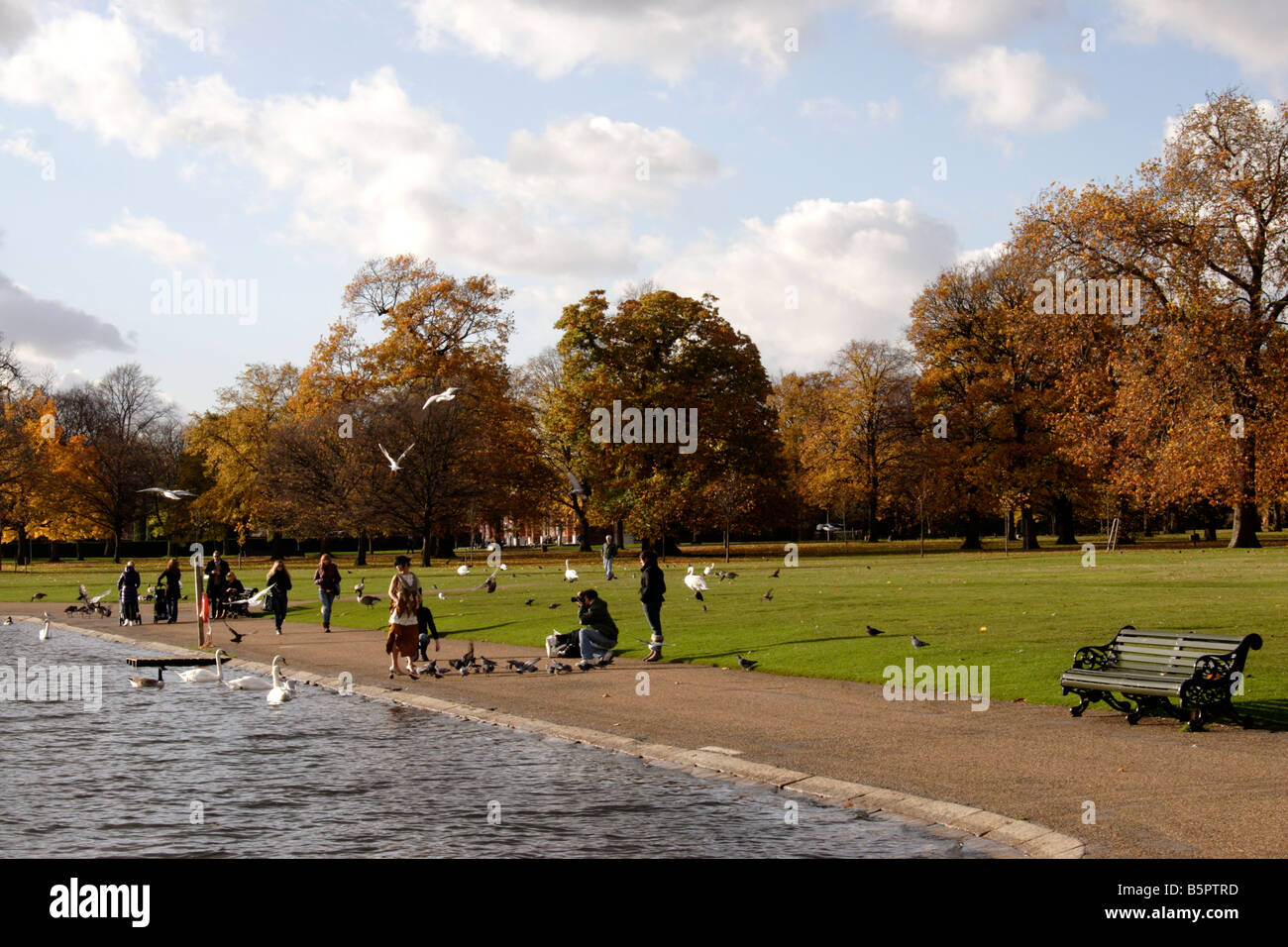 Round Pond Kensington Gardens London Stock Photo Alamy
