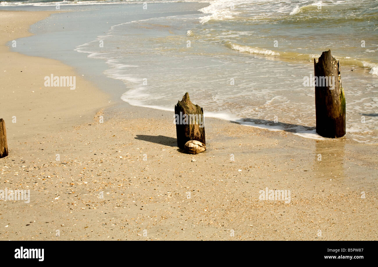 Two decaying wooden pilings with a coconut shell by the ocean in Jacksonville Beach, Florida Stock Photo
