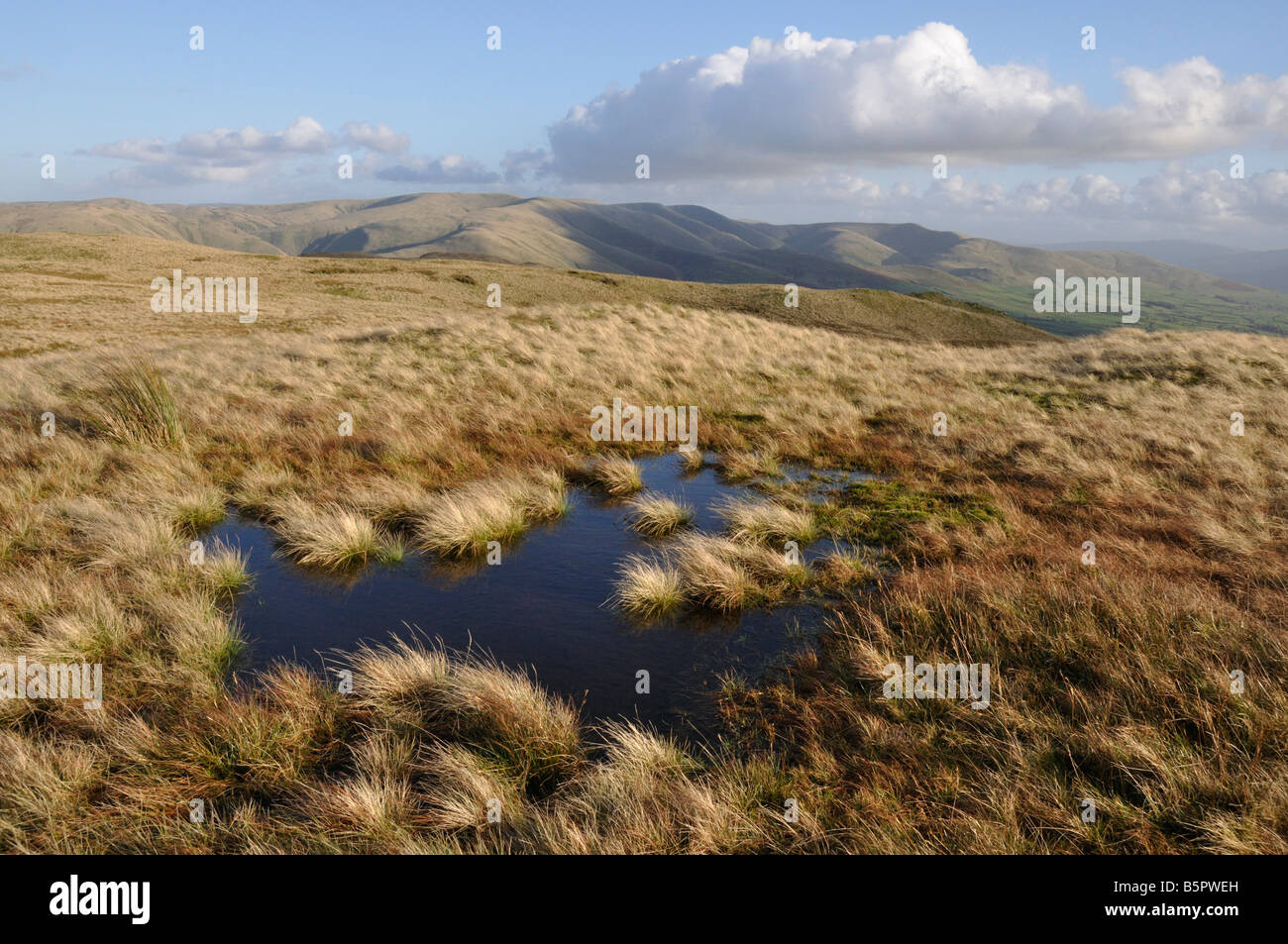Howgill fells Cumbria England from Grayrigg forest Stock Photo