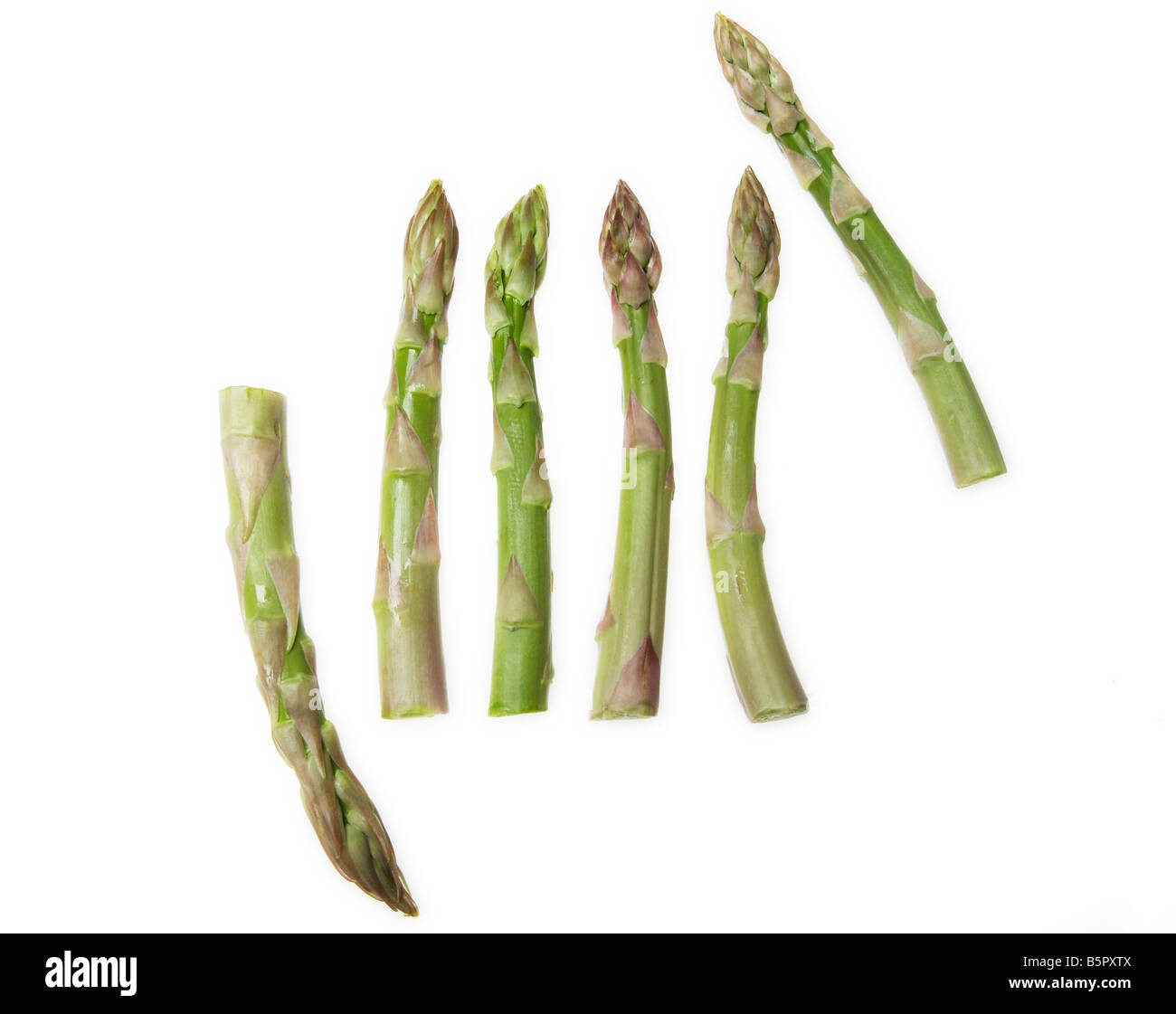 Six Asparagus FIngers Stock Photo