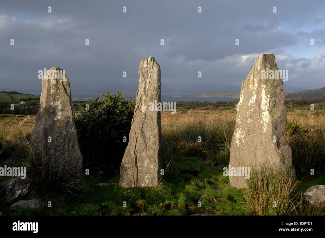 Ardgroom Stone Circle - John Gollop Stock Photo