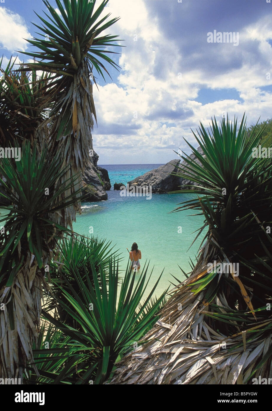 jobson cove bermuda Stock Photo Alamy
