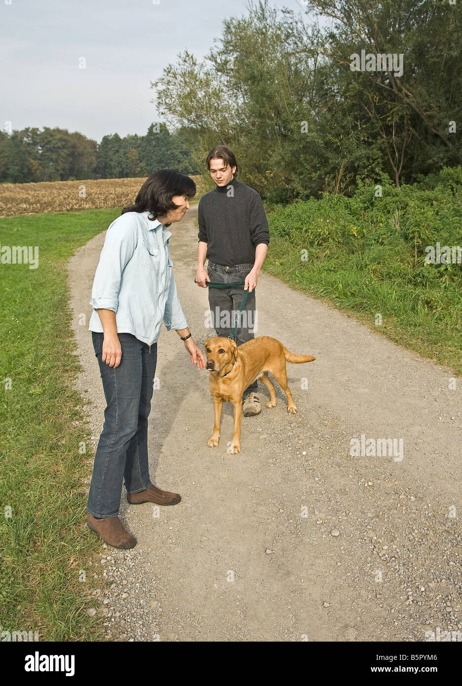 Should You Let A Dog Smell Your Hand