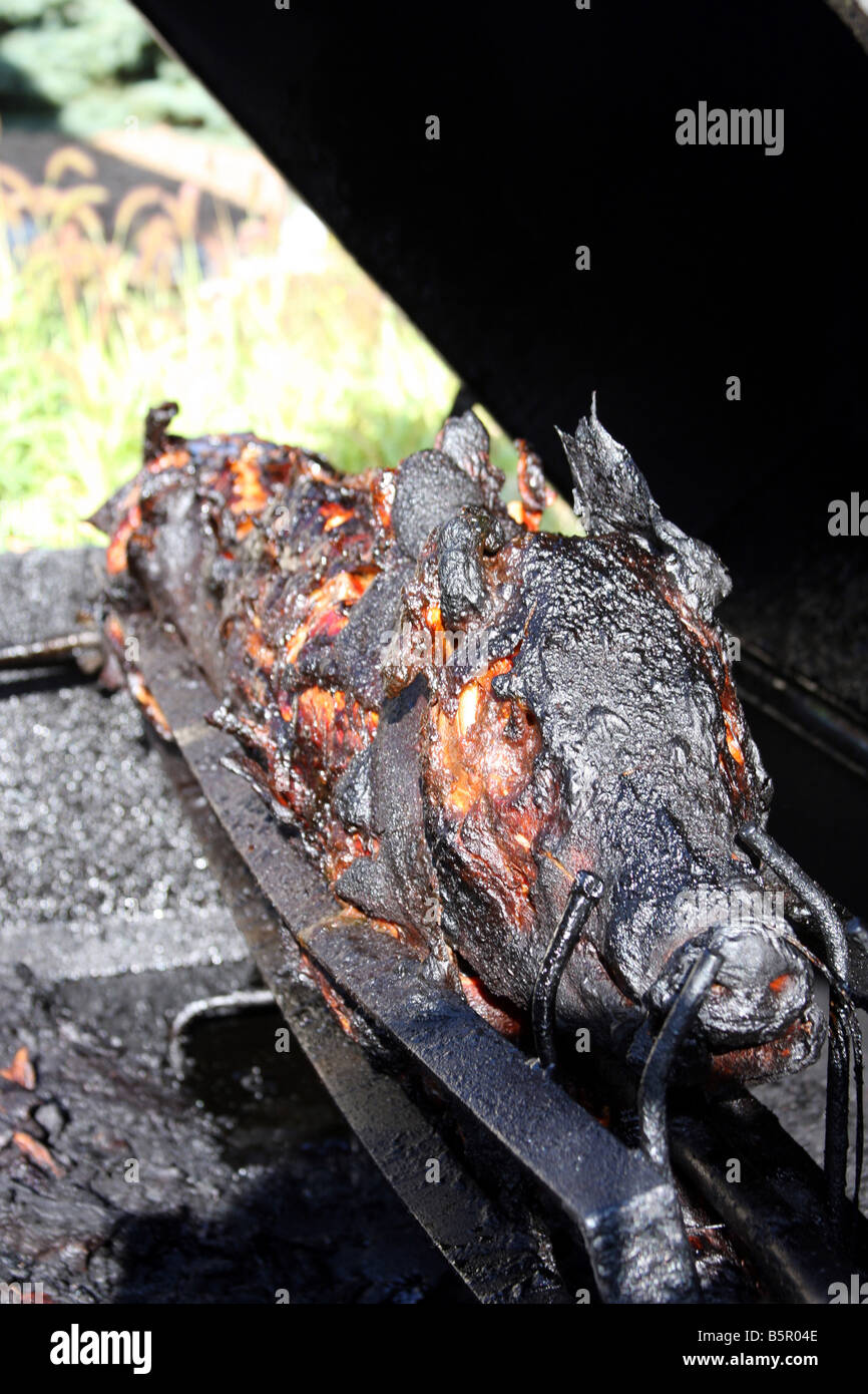 Dinner A completely cooked roasted pig on the spit still on the fire pit grill Stock Photo