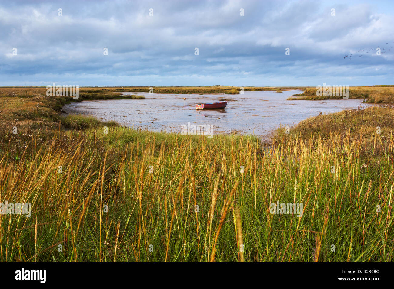 A view of the saltmarshes between Burnham Deepdale and Brancaster Staithe Stock Photo