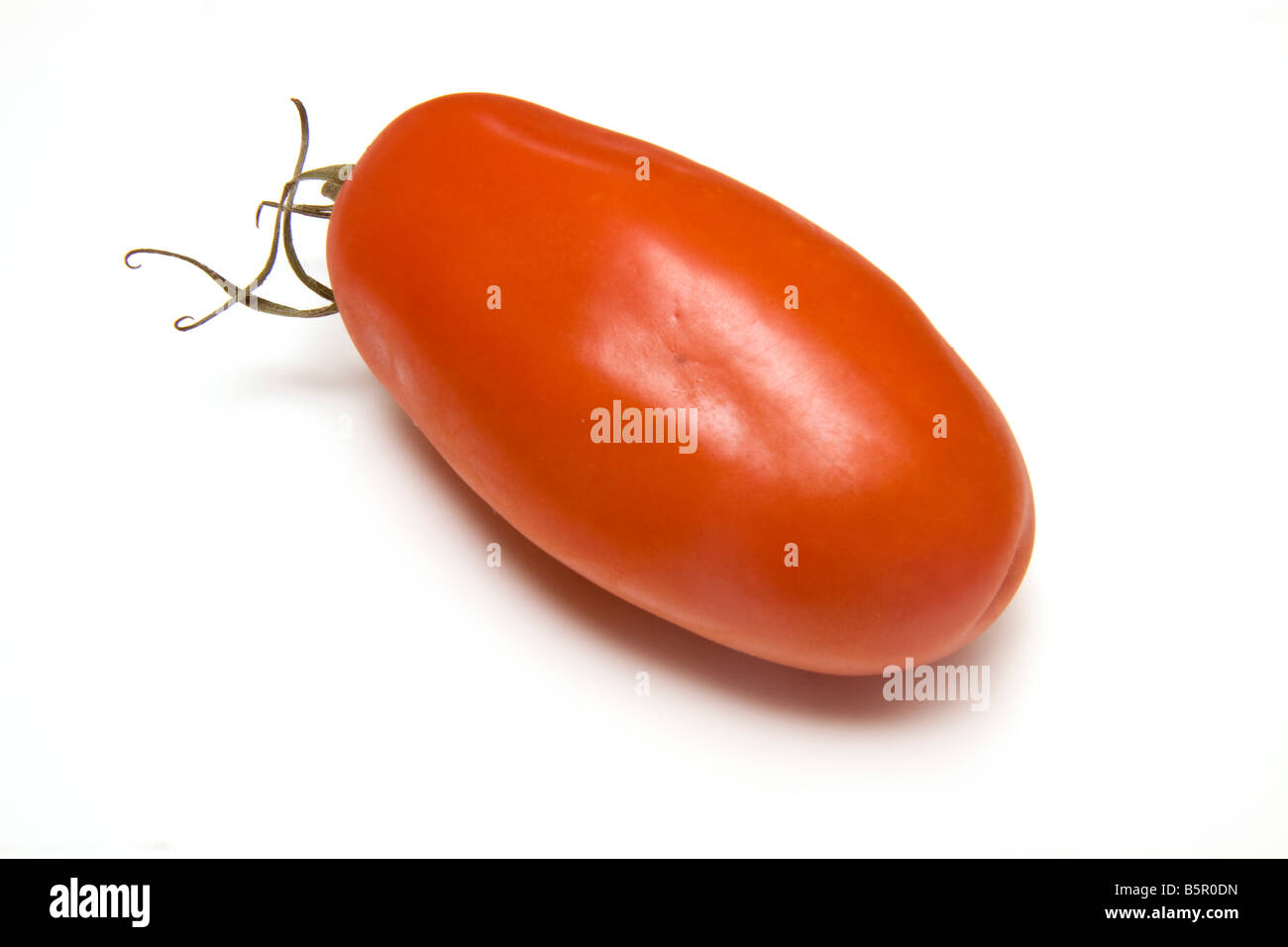 Plum tomatoes isolated on a white studio background Stock Photo - Alamy