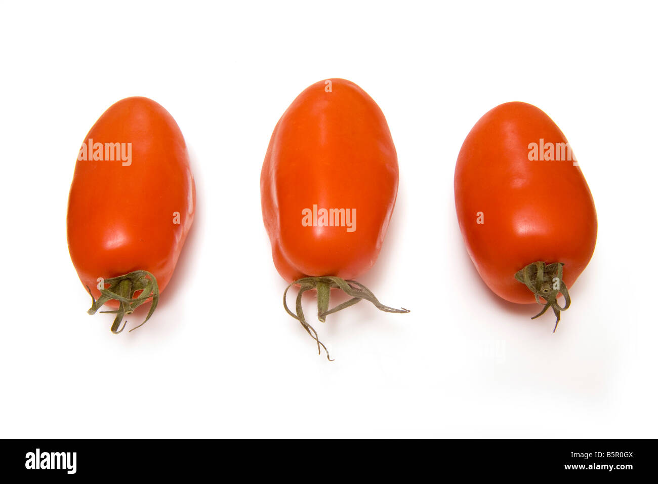 Plum tomato isolated on a white studio background Stock Photo - Alamy