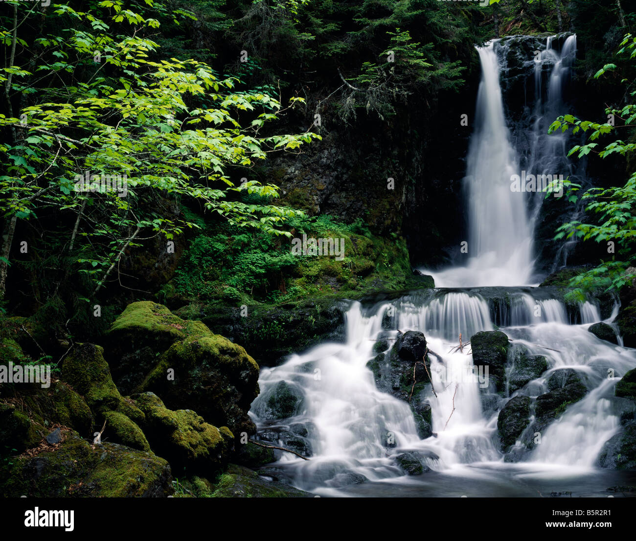 Fotos de Fundy National Park: Ver fotos e Imágenes de Fundy National Park