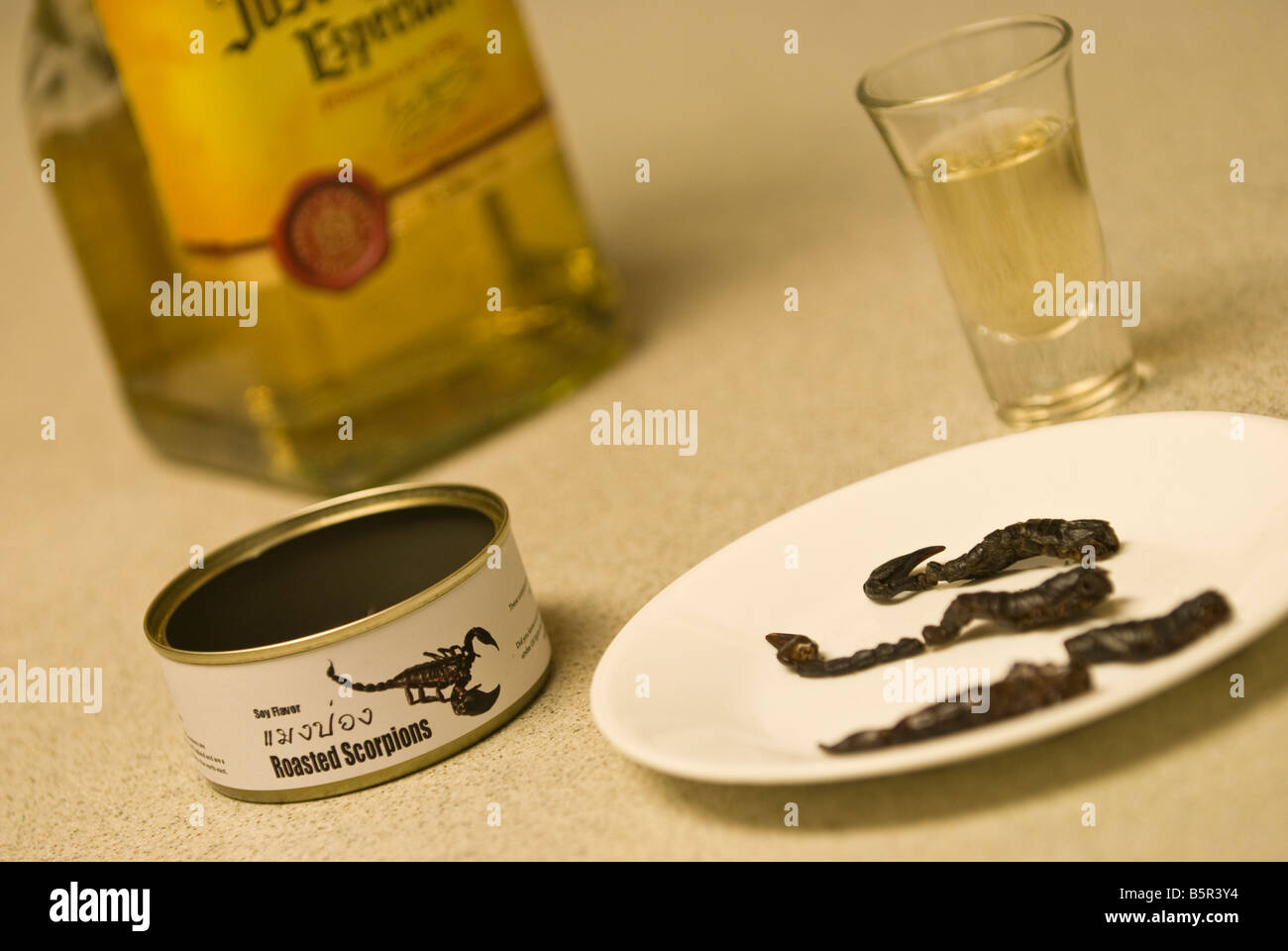 Tequila and Scorpions Yummy Stock Photo Alamy
