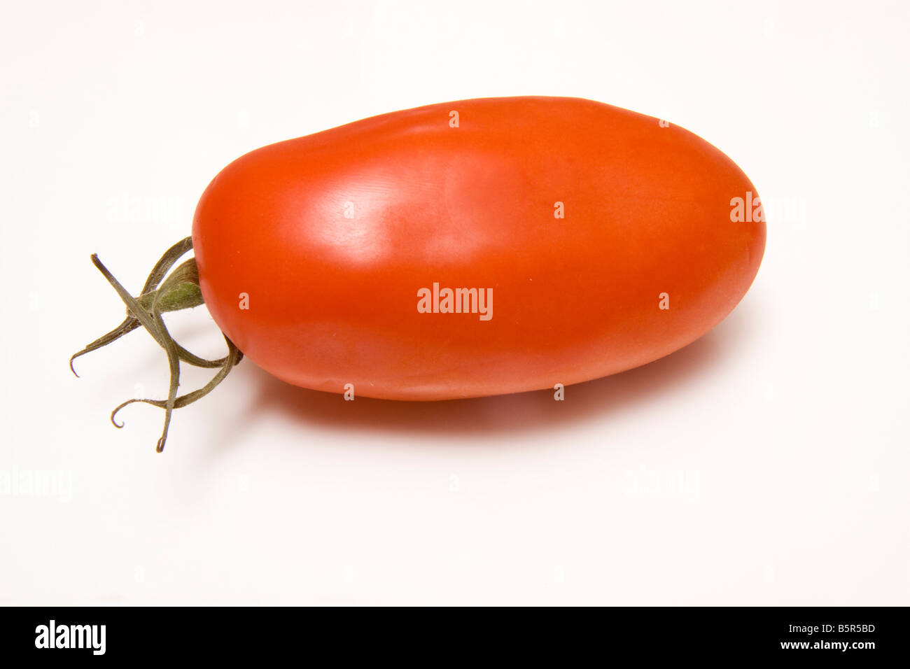 Plum tomato isolated on a white studio background Stock Photo - Alamy