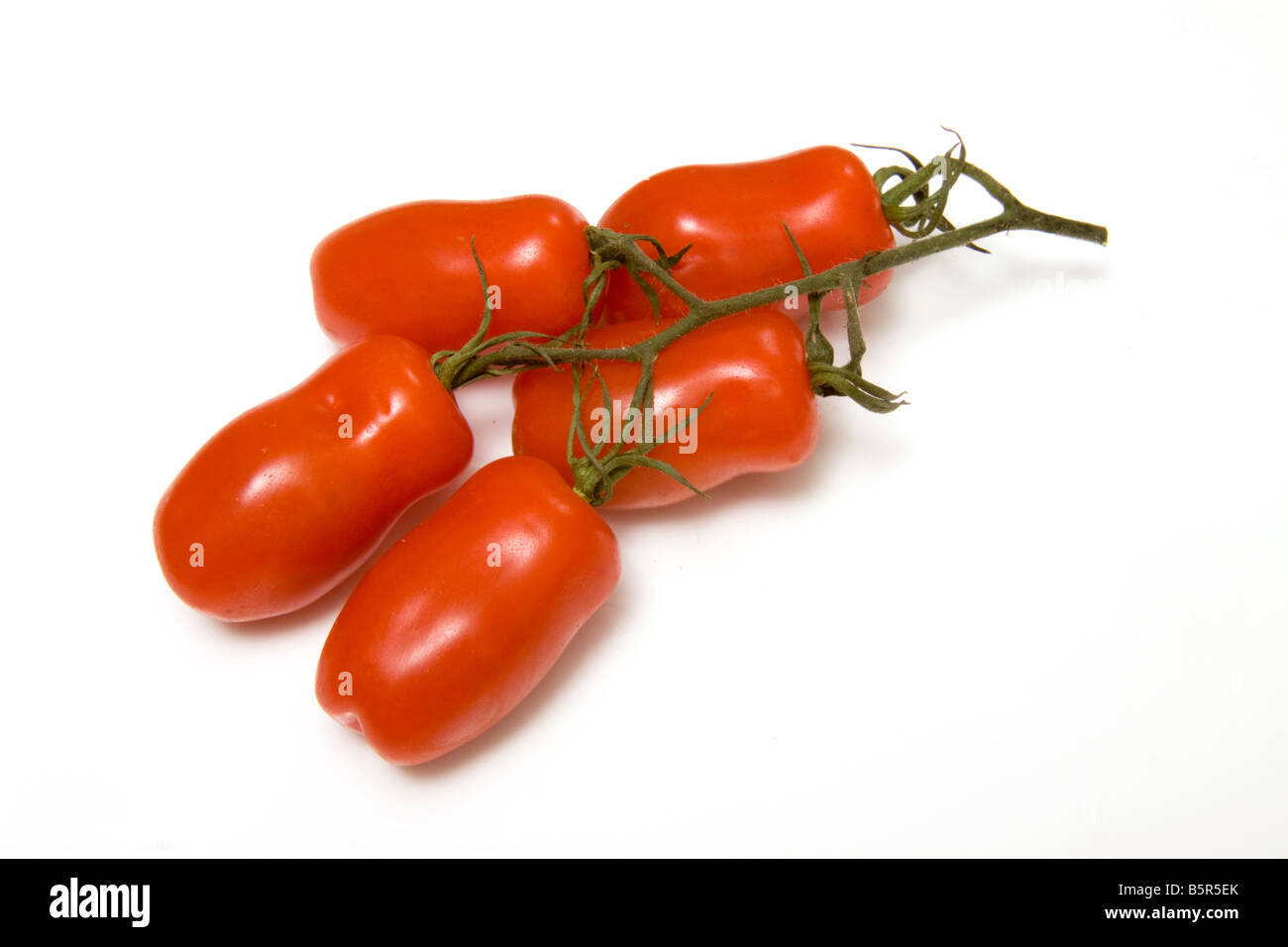 Plum tomatoes isolated on a white studio background Stock Photo - Alamy