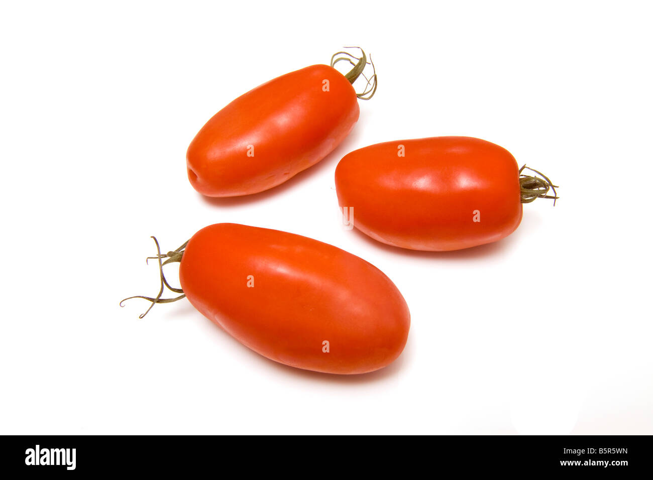 Plum tomatoes isolated on a white studio background Stock Photo Alamy