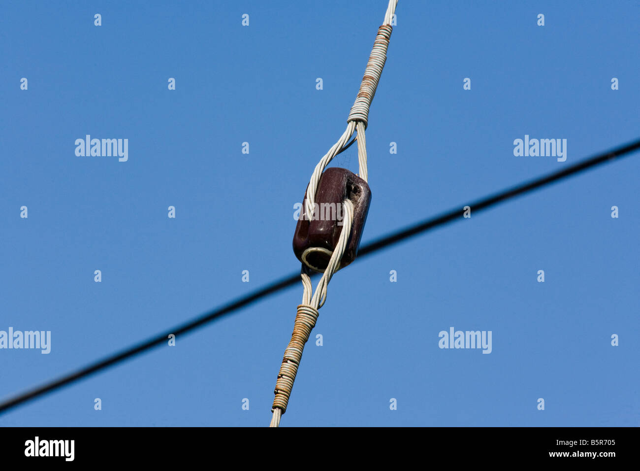 Electrical Insulator on guy wire for utility pole Stock Photo