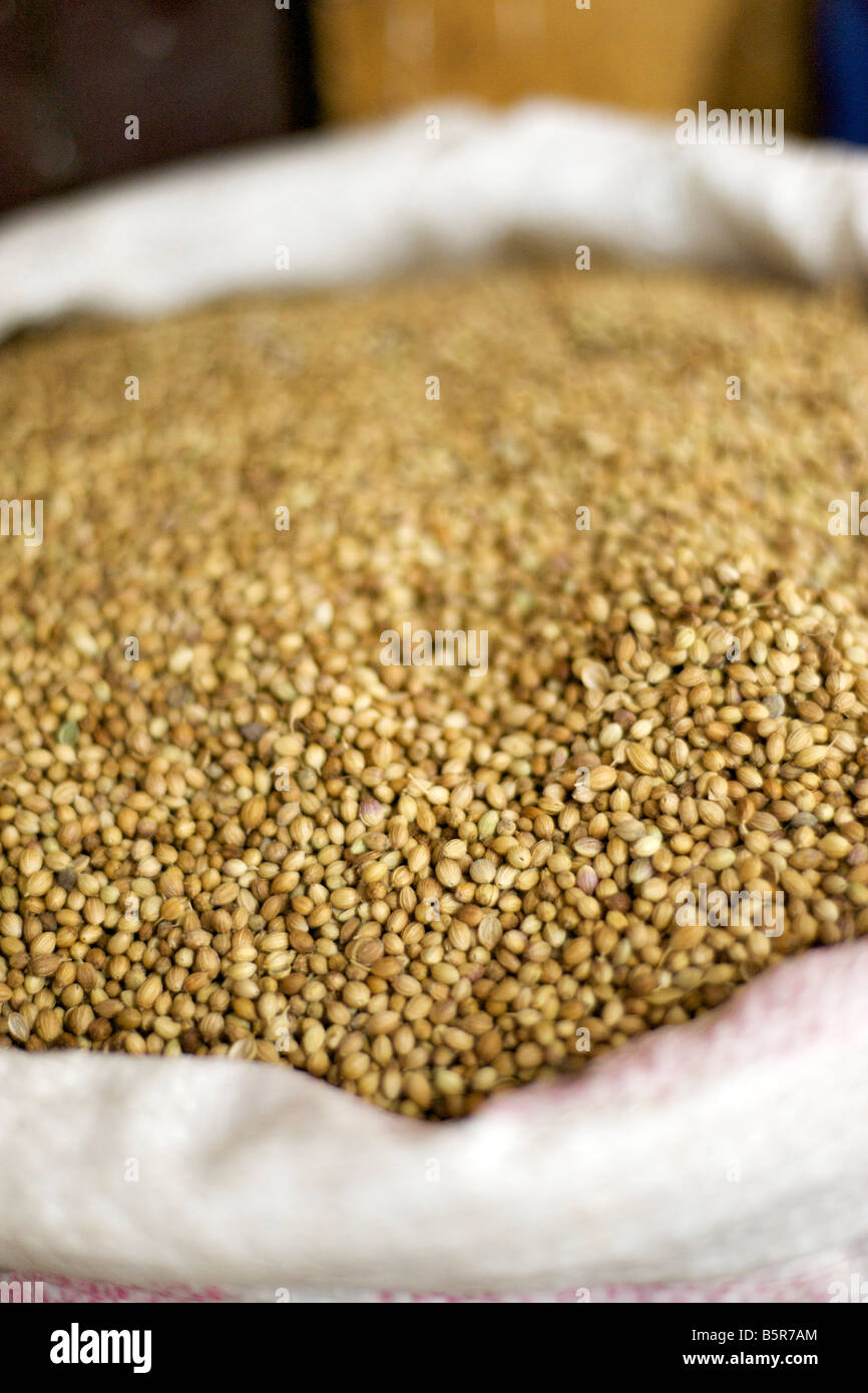 Coriander seeds at a market in Pondicherry India Stock Photo Alamy