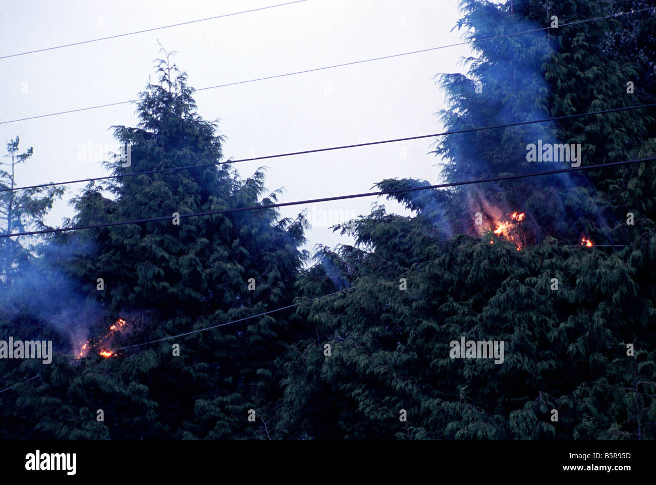 Fires damage damages hires stock photography and images Alamy