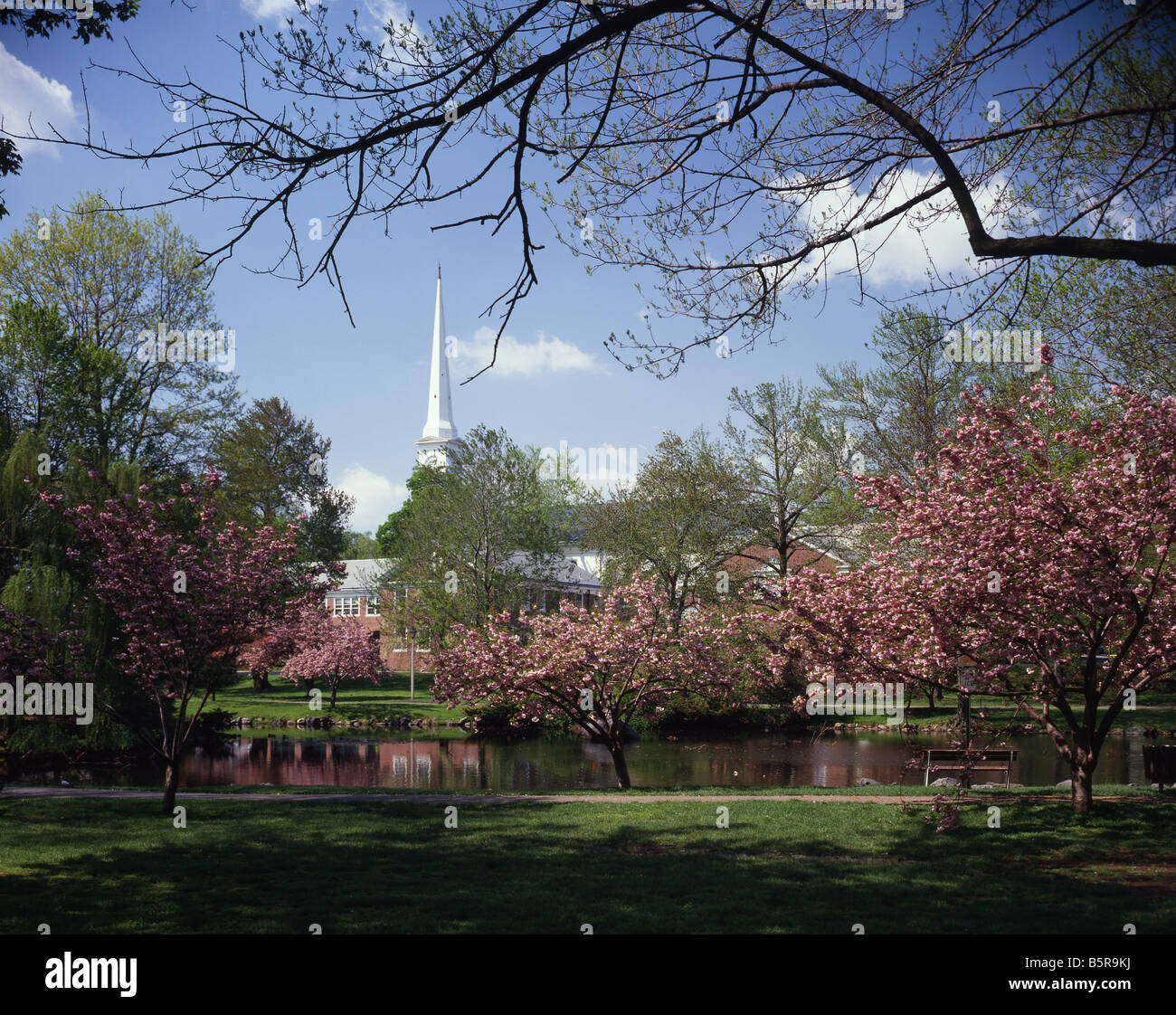 Spring landscape springtime landscape new jersey in spring hi-res stock ...