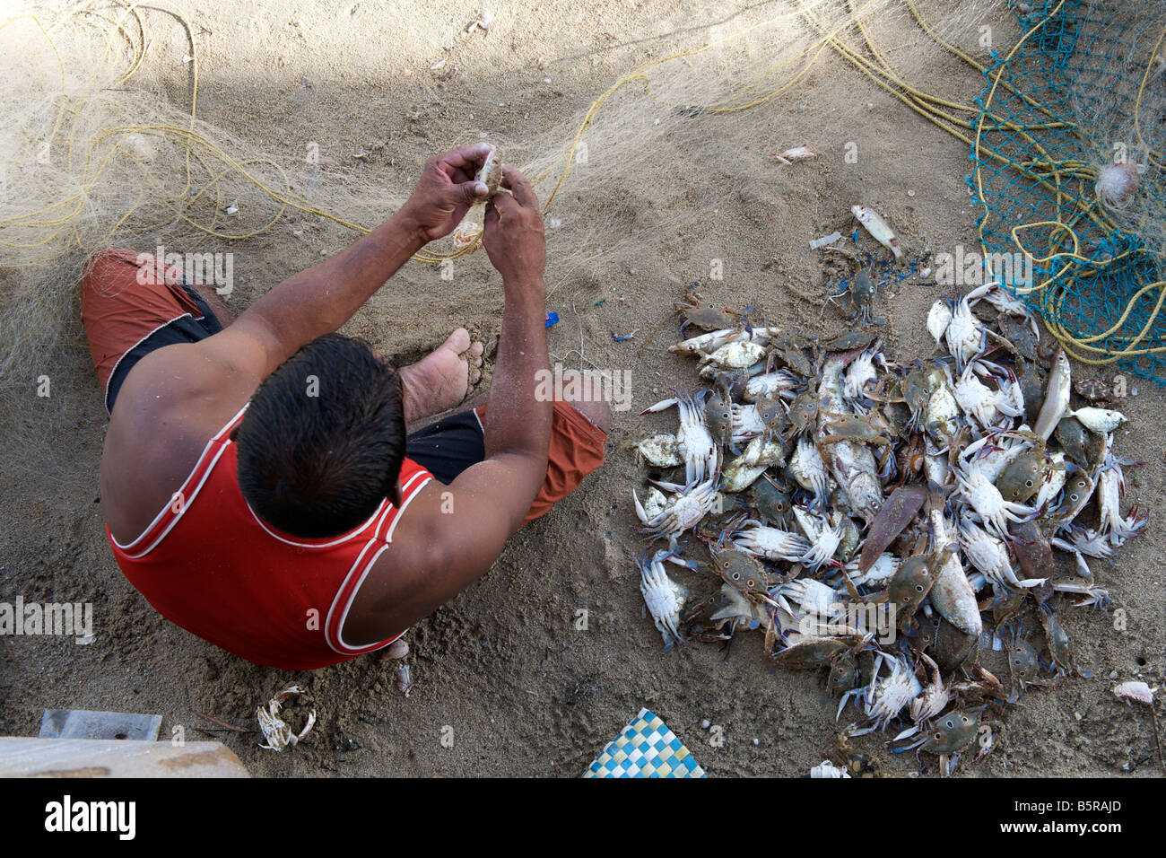 Indian fishermen sorting his catch in Pondicherry India. Stock Photo