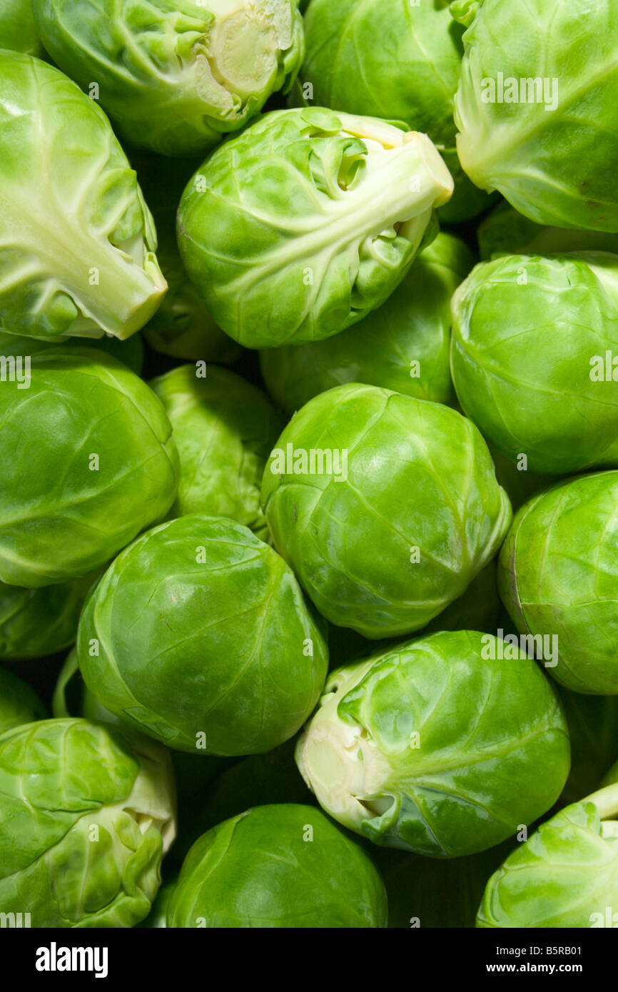 Brussels sprouts hires stock photography and images Alamy