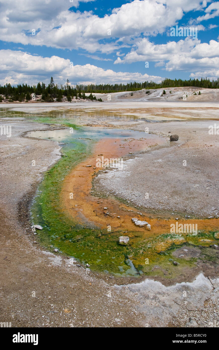 Hot springs and geysers in the Norris basin section of Yellowstone