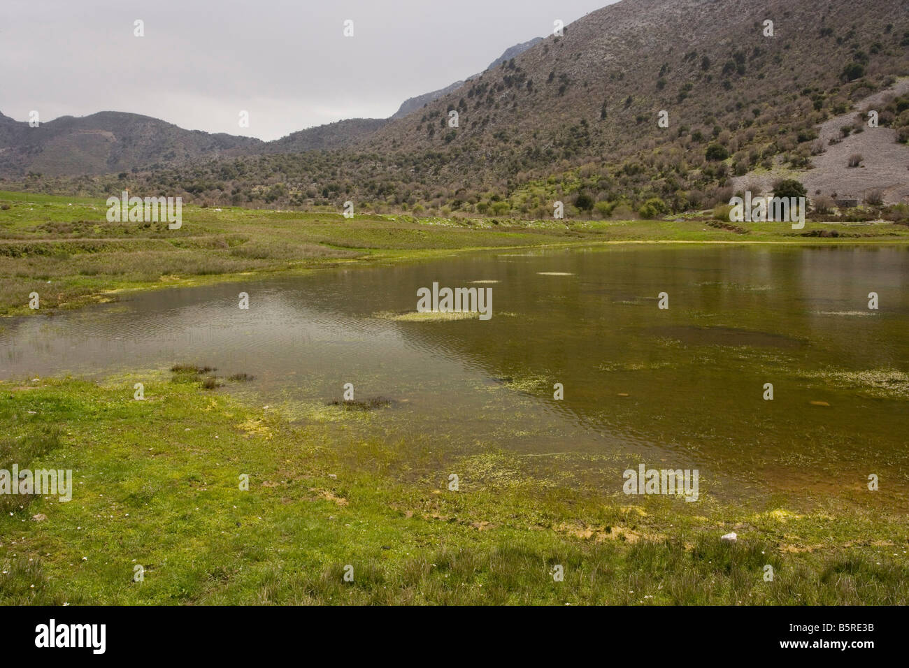 Temporary Pond on the Omalos plateau White Mountains Crete rare habitat EU protected Stock Photo