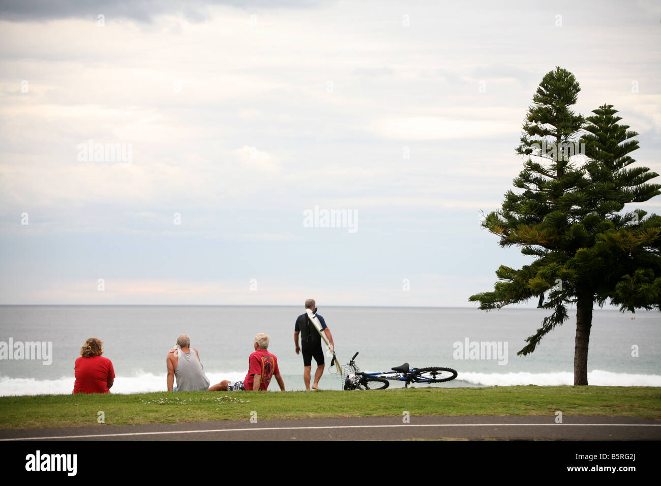 Older residents relax on a beachside reserve nearby the Norfolk pines that line Manly beach in Sydney Australia Stock Photo