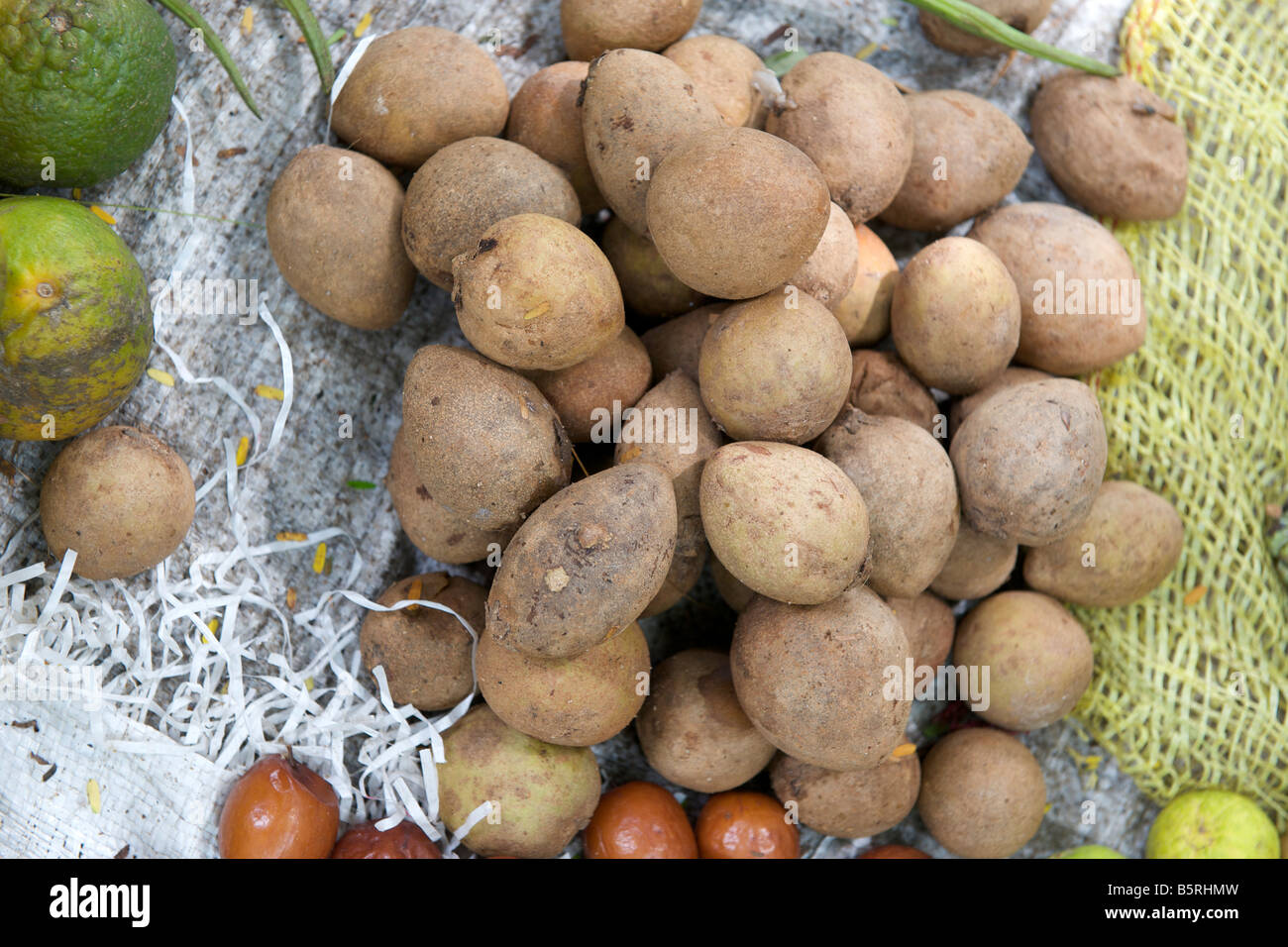 Chiko fruit for sale at the Gingee Salai market in Pondicherry India ...