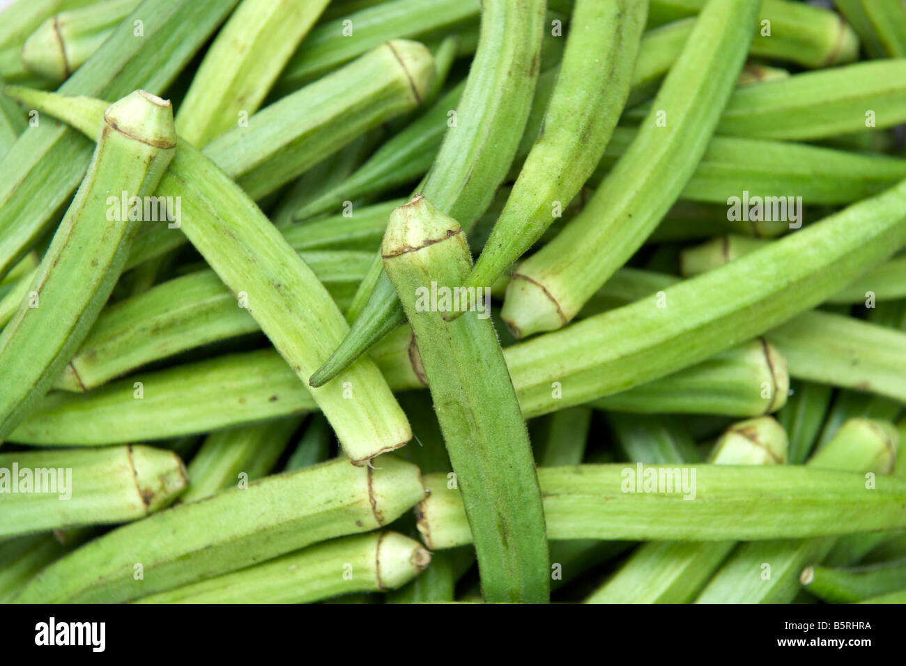 Bhindi aka "Ladies fingers" for sale at the Gingee Salai market in Pondicherry India. Stock Photo