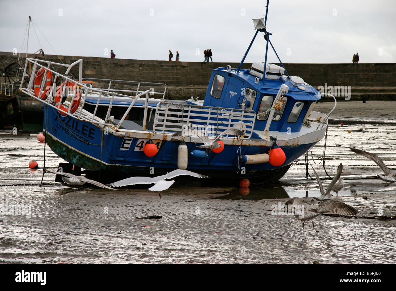 A fishing boat Stock Photo - Alamy