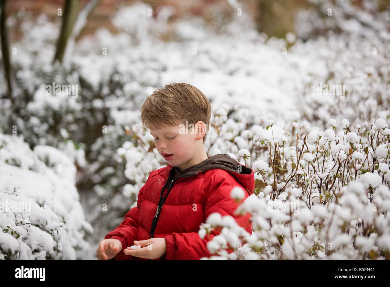 Young boy wearing a red goose down jacket outside in the snowy bushes