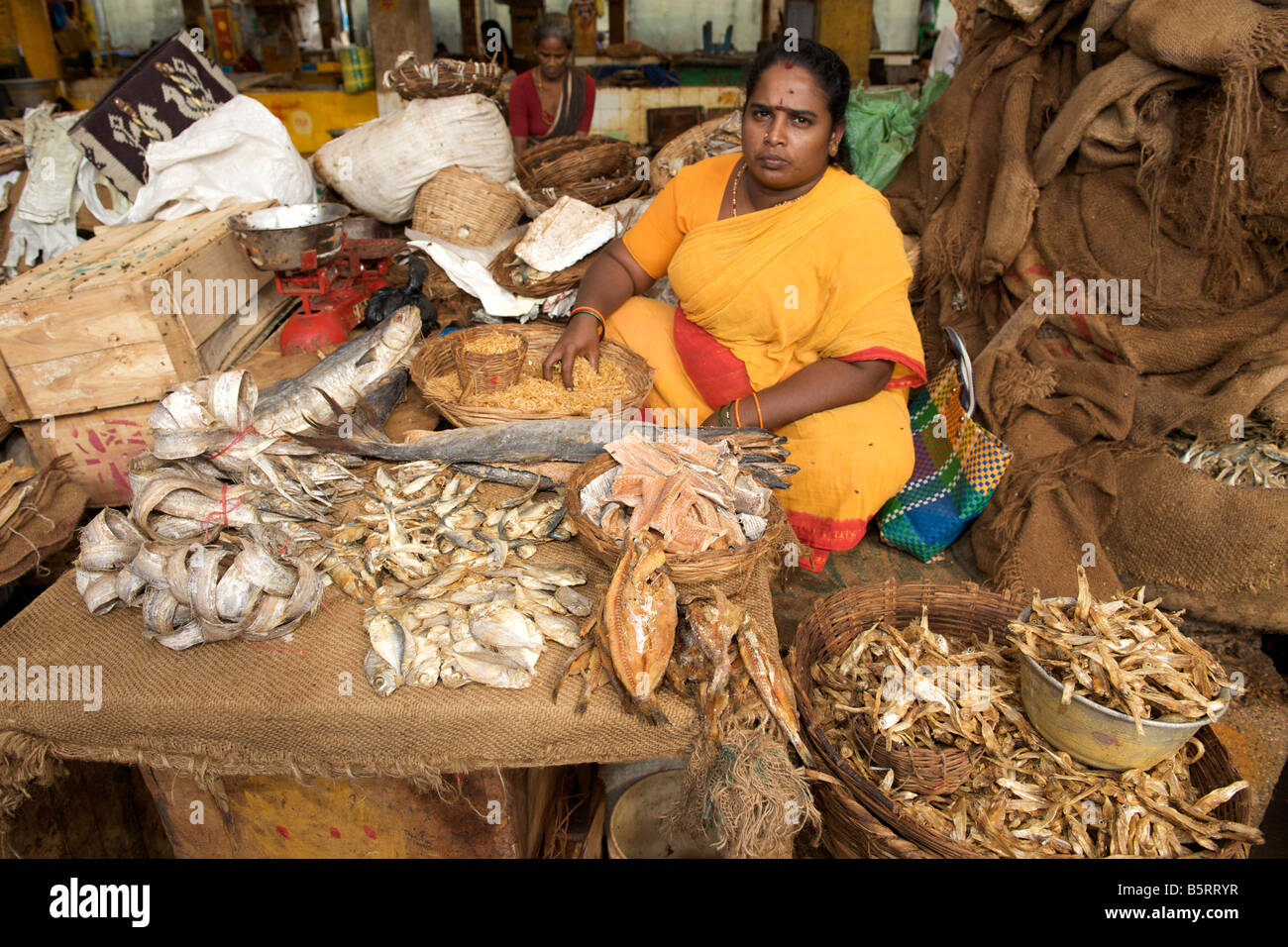 Indian Fish Market High Resolution Stock Photography and Images Alamy