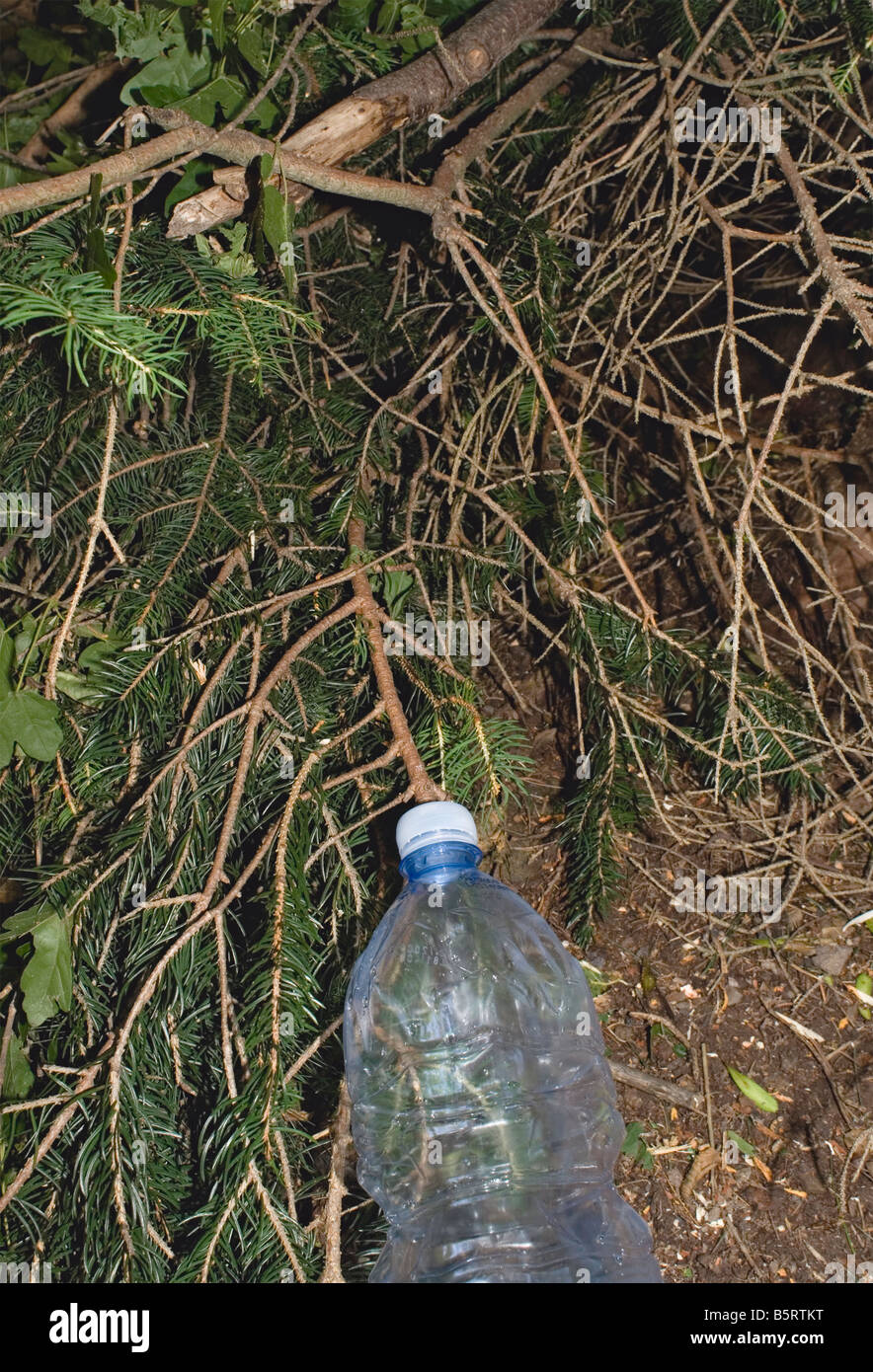 plastic bottle dumped on forest ground Stock Photo