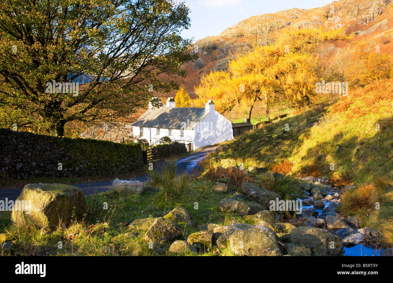 Whitewashed cottage farmhouse in the Lake District National Park, Cumbria, England, UK with stream or beck alongside in autumn. Stock Photo