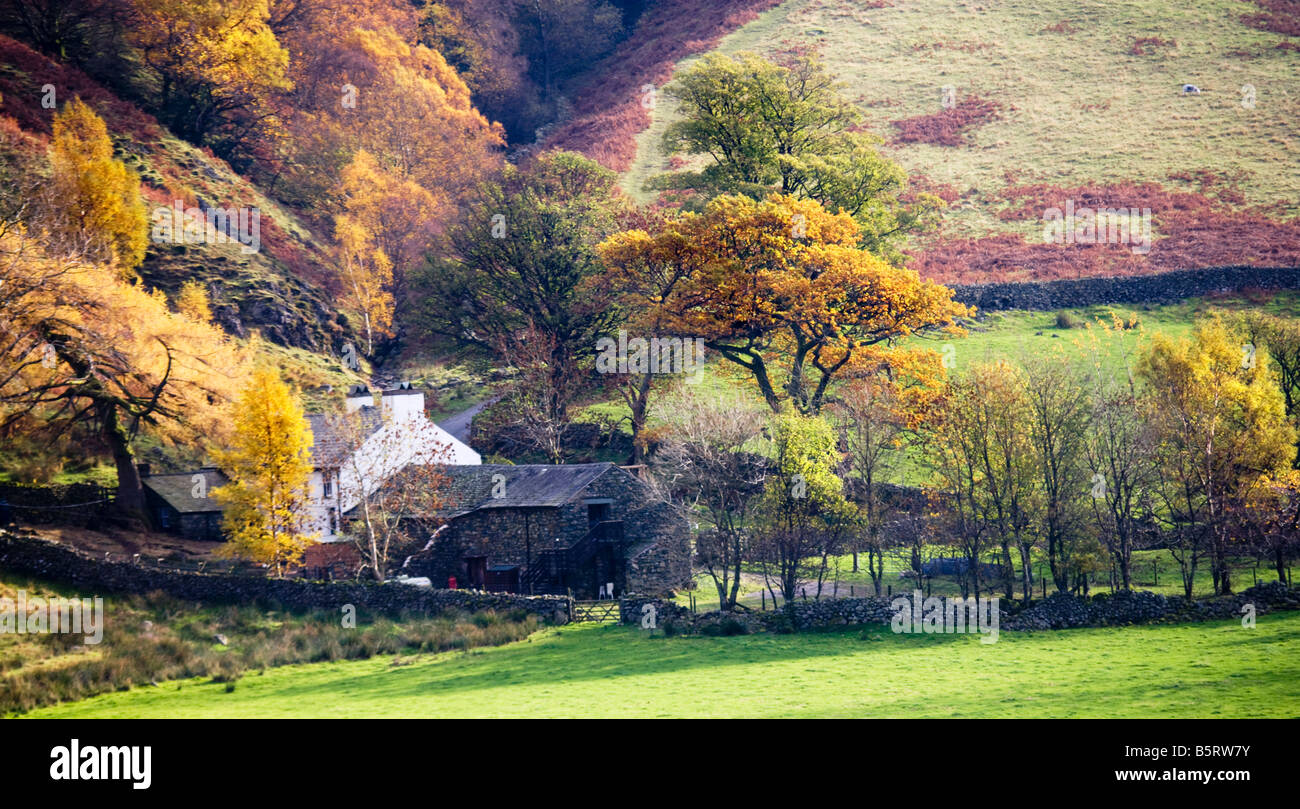 Farmhouse nestling at the bottom of a hillside in the autumn in the Lake District National Park, Cumbria, England, UK Stock Photo