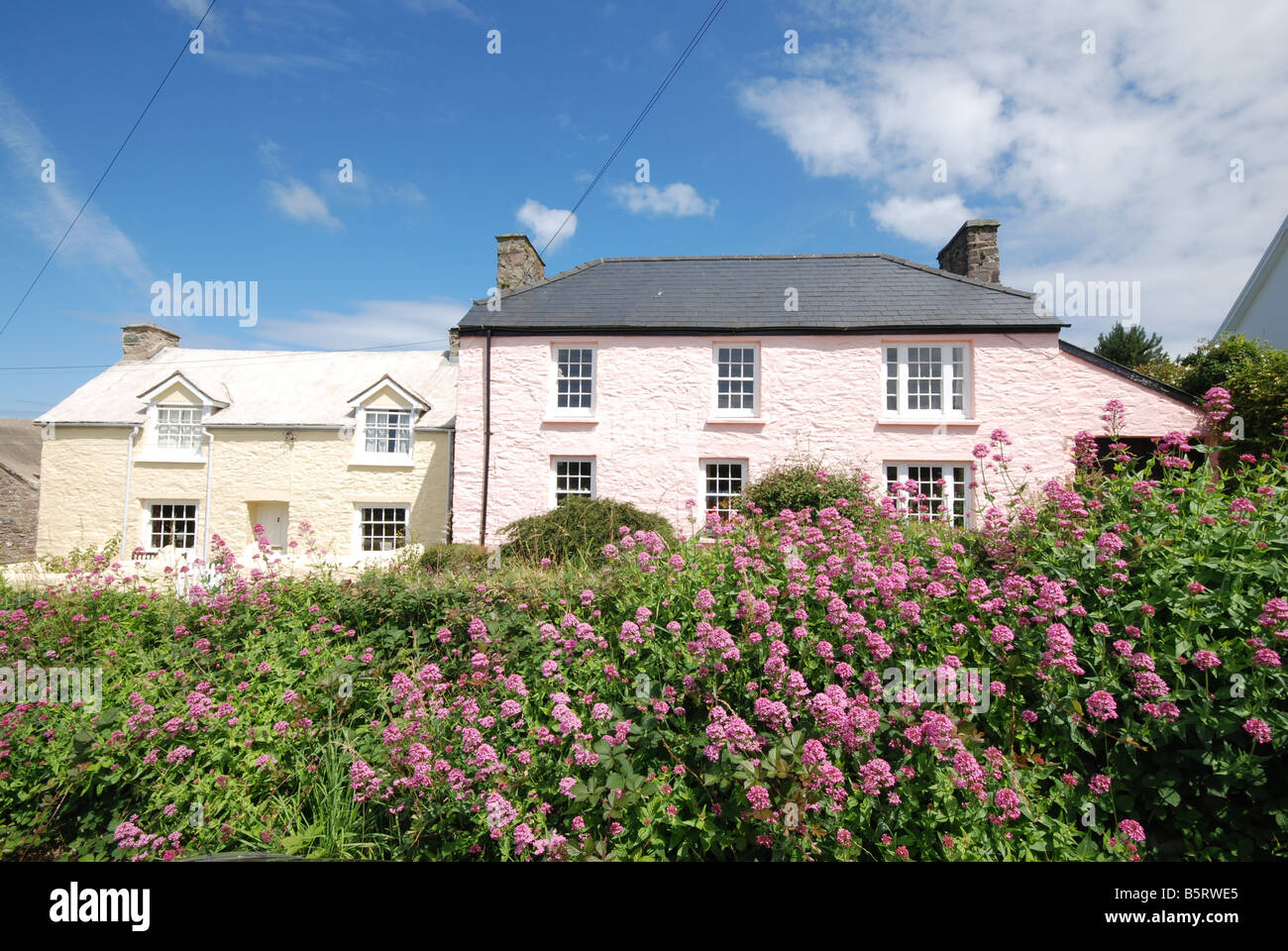 Traditional Light Painted Welsh Cottages In St Davids