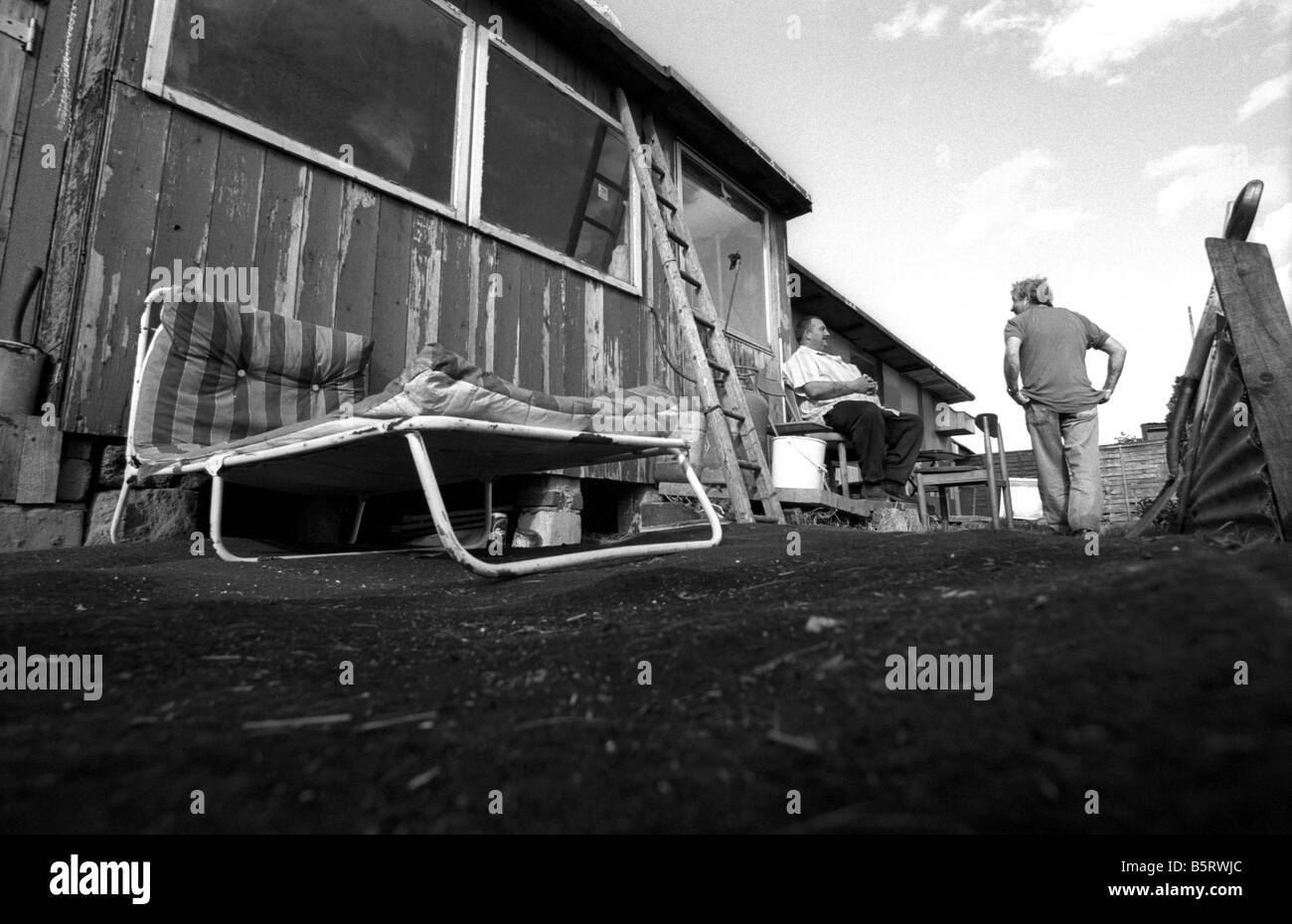 Pigeon racing in the UK. Working class sport Stock Photo Alamy