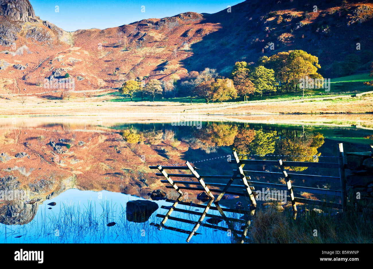 Early morning sunshine and reflections in Blea Tarn on a sunny autumn day, Lake District National Park, Cumbria, England, UK Stock Photo