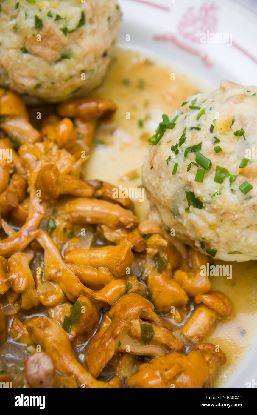 Canederli (Knödel) with chanterelles (finferli) mushrooms. Typical dish from the South Tyrol, Trentino Alto Adige region, Italy. Stock Photo